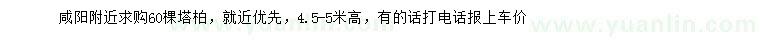 求購高4.5-5米塔柏