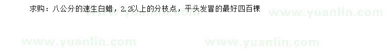 求購8公分速生白蠟