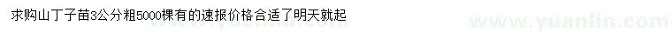 求購3公分山丁子苗