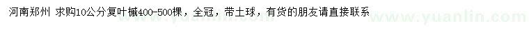 求購10公分復葉槭