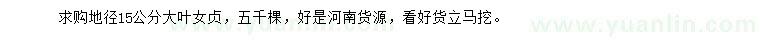 求購地徑15公分大葉女貞