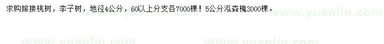 求購桃樹、李子樹、泓森槐