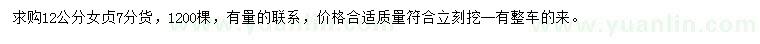 求購12公分女貞