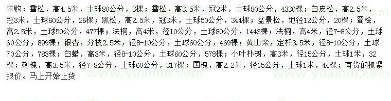 求購(gòu)雪松、白皮松、黑松等