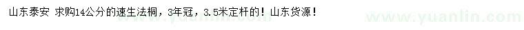 求購14公分速生法桐