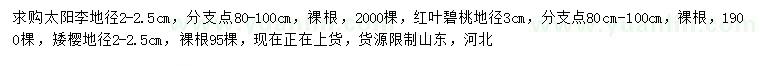 求購太陽李、紅葉碧桃、矮櫻