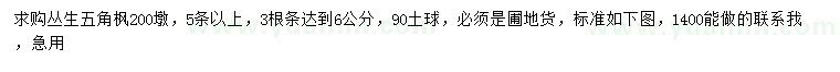 求購叢生五角楓