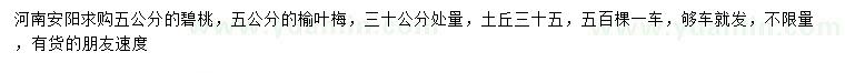 求購(gòu)30公分處量5公分碧桃、榆葉梅