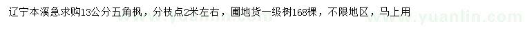 求購13公分五角楓