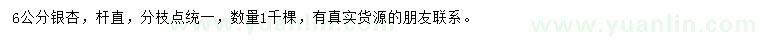 求購6公分銀杏