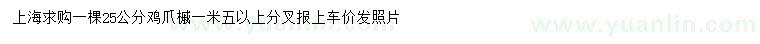 求購25公分雞爪槭