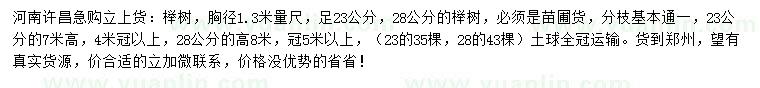 求購胸徑1.3米量尺足23、28公分櫸樹