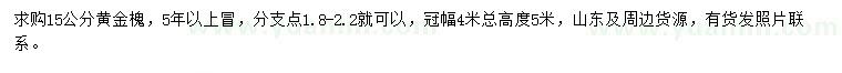 求購15公分黃金槐