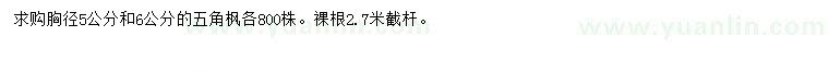 求購(gòu)胸徑5、6公分五角楓