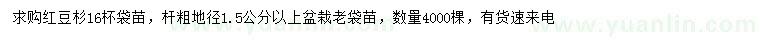 求購地徑1.5公分以上紅豆杉