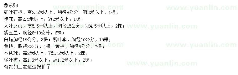 求購紅葉石楠、桂花、大葉女貞等
