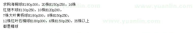 求購海桐球、紅繼木球、大葉黃楊球等