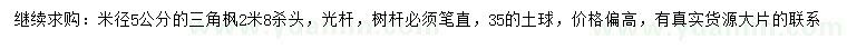 求購米徑5公分三角楓