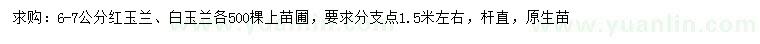求購6-7公分紅玉蘭、白玉蘭