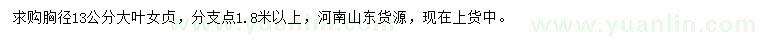 求購(gòu)胸徑13公分大葉女貞