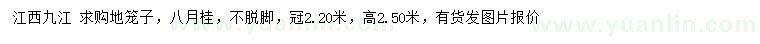 求購冠幅2.20米八月桂