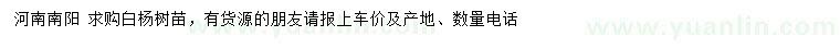求購(gòu)白楊樹(shù)苗