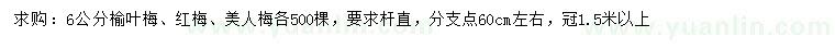 求購榆葉梅、紅梅、美人梅