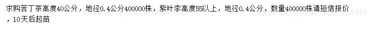 求購(gòu)地徑0.4公分苦丁茶、紫葉李