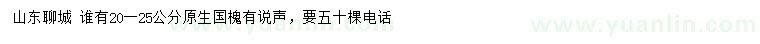 求購20-25公分原生國槐