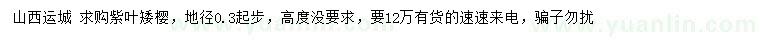 求購地徑0.3公分起步紫葉矮櫻
