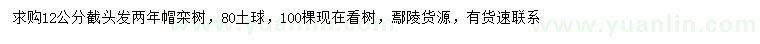 求購12公分欒樹