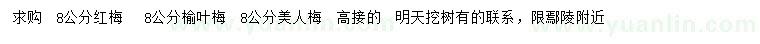 求購紅梅、榆葉梅、美人梅