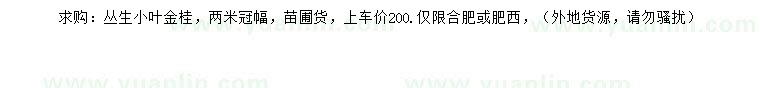 求購冠幅2米叢生小葉金桂