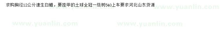 求購胸徑12公分速生白蠟