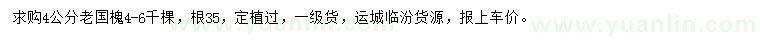 求購4公分老國(guó)槐