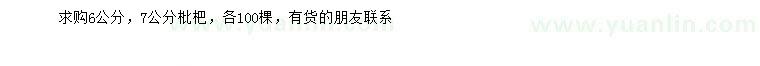 求購6、7公分枇杷