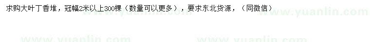 求購冠幅2米以上大葉丁香堆