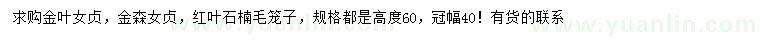 求購金葉女貞、金森女貞、紅葉石楠毛籠子