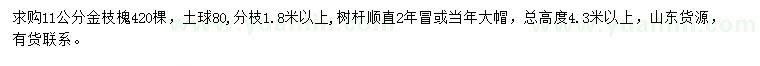 求購11公分金枝槐