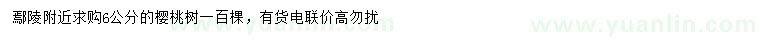 求購6公分櫻桃樹