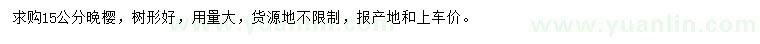 求購15公分晚櫻