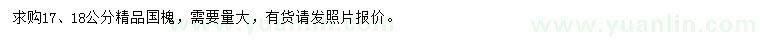求購(gòu)17、18公分精品國(guó)槐
