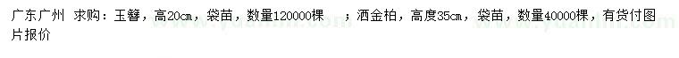 求購(gòu)高20公分玉簪、35公分灑金柏