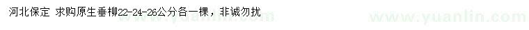 求購(gòu)22、24、26公分原生垂柳