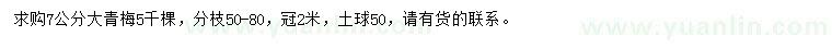 求購7公分大青梅
