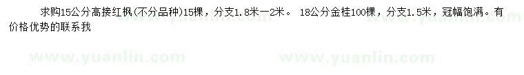 求購15公分高接紅楓