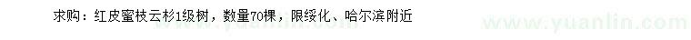 求購紅皮蜜枝云杉