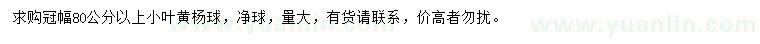 求購冠幅80公分以上小葉黃楊球