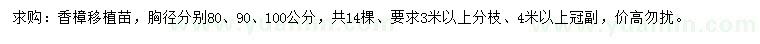 求購(gòu)胸徑80、90、100公分香樟