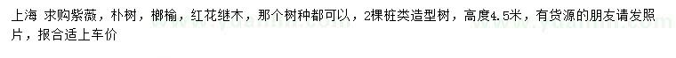 求購紫薇、樸樹、榔榆等